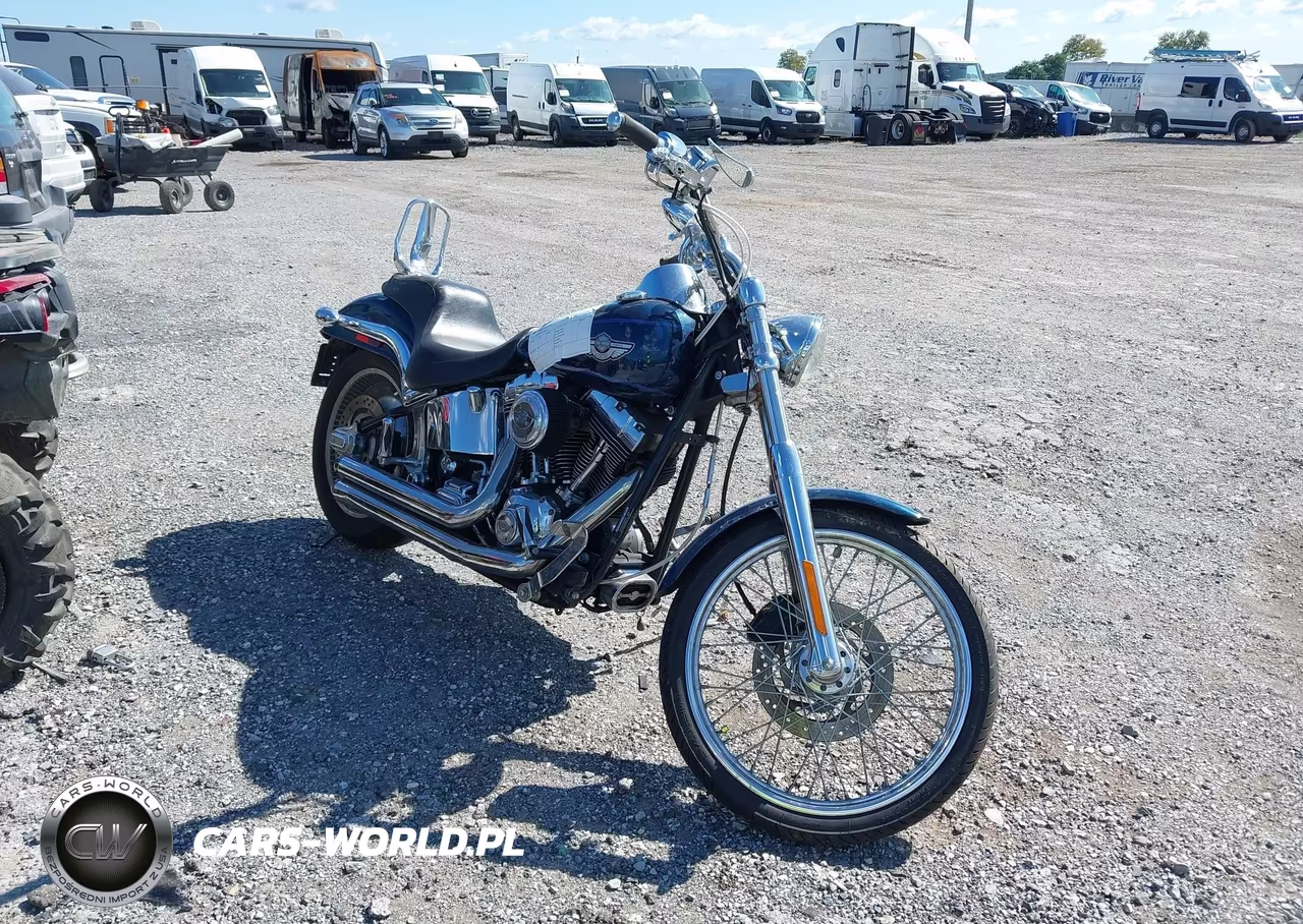 2003 Harley-Davidson Fxstdi VIN:1HD1JBB193Y108186 - 1