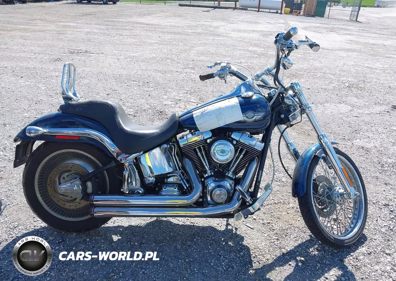 2003 Harley-Davidson Fxstdi VIN:1HD1JBB193Y108186 - 12