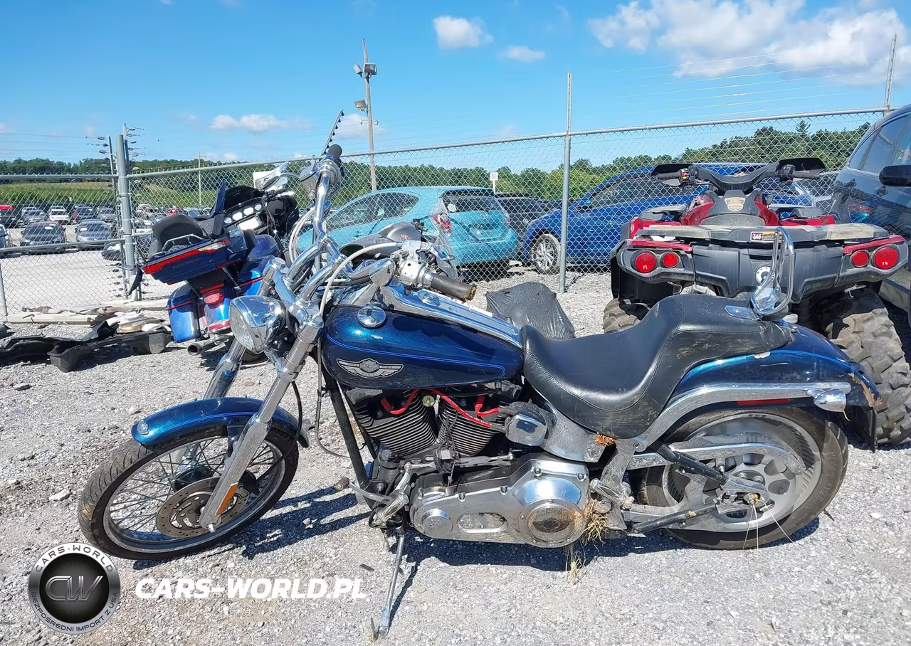 2003 Harley-Davidson Fxstdi VIN:1HD1JBB193Y108186 - 13