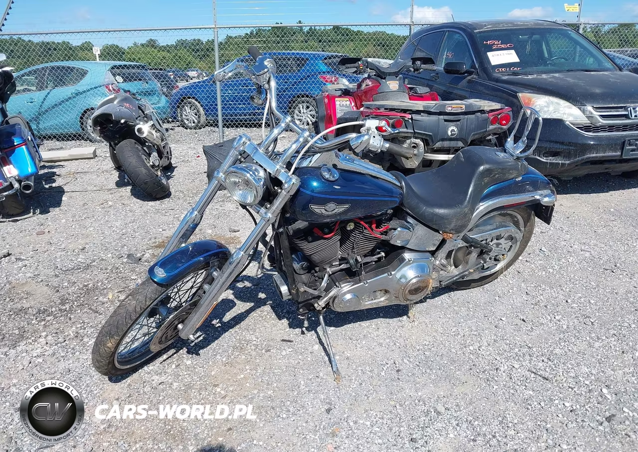 2003 Harley-Davidson Fxstdi VIN:1HD1JBB193Y108186 - 2