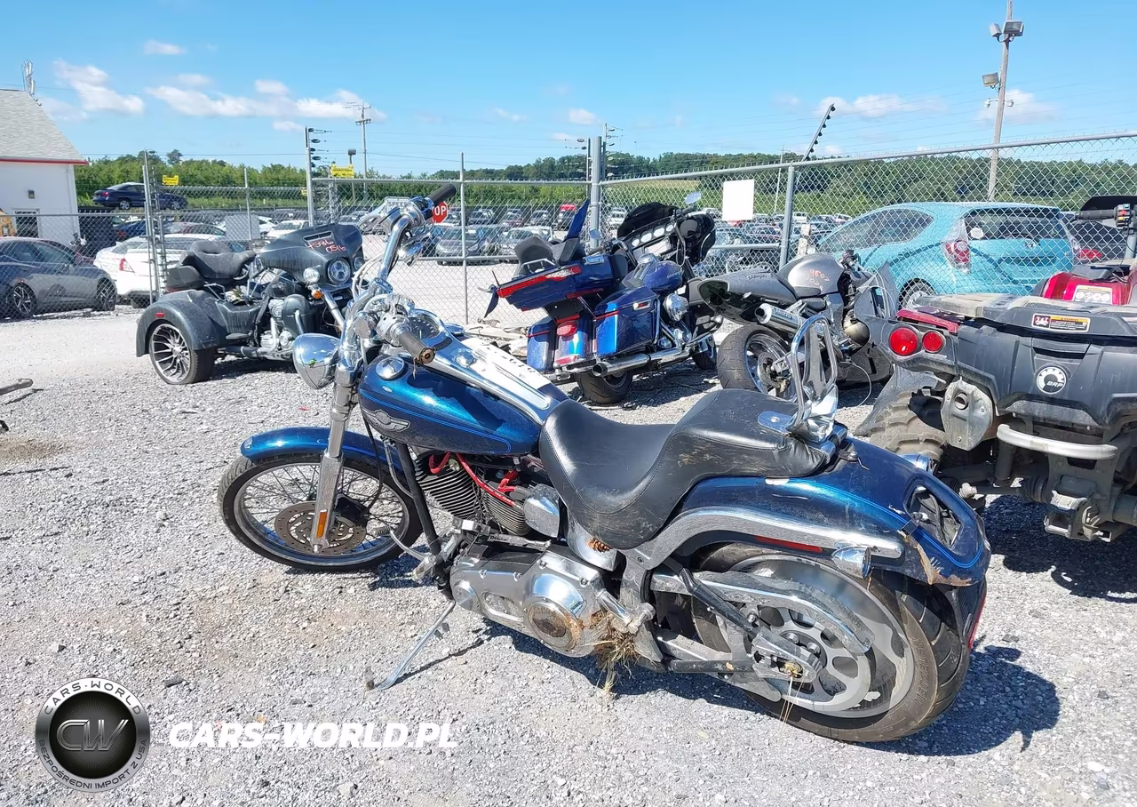 2003 Harley-Davidson Fxstdi VIN:1HD1JBB193Y108186 - 3