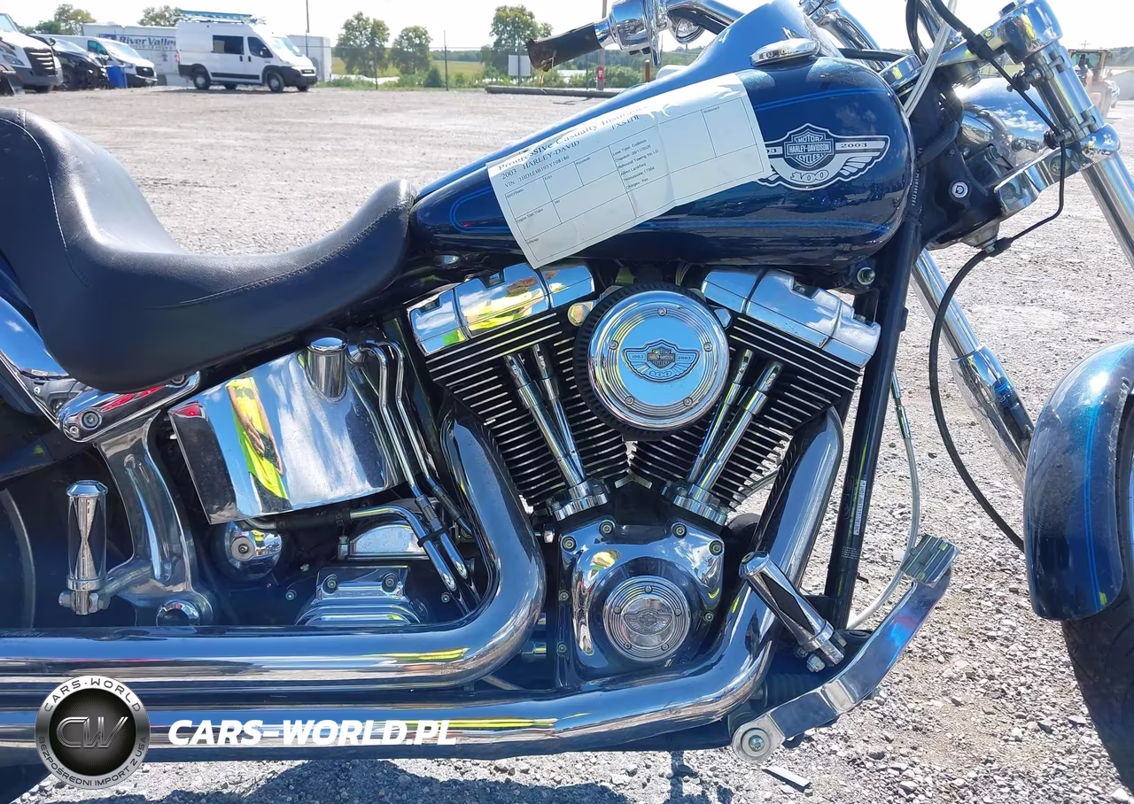 2003 Harley-Davidson Fxstdi VIN:1HD1JBB193Y108186 - 8