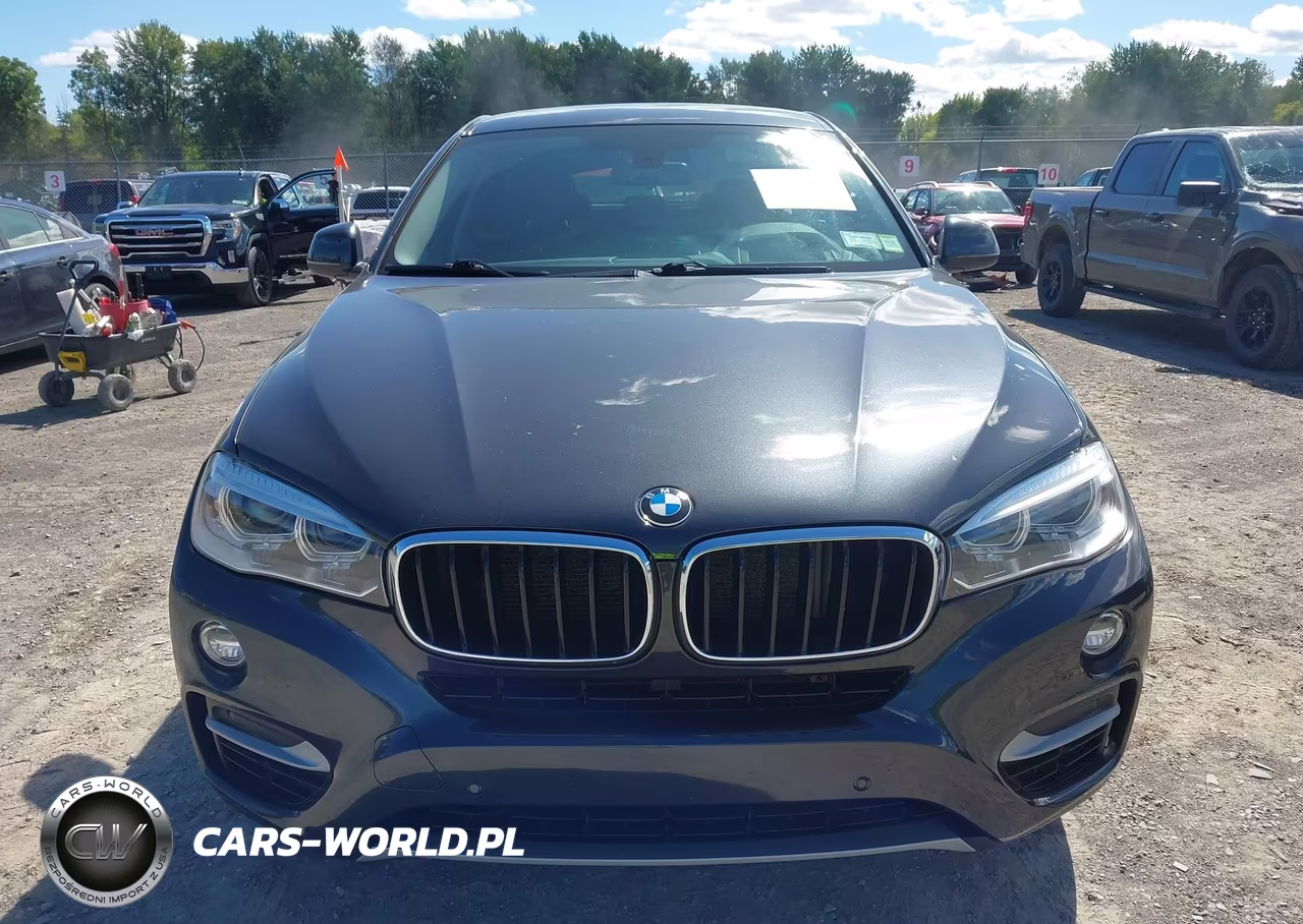 2016 BMW X6 xDrive35I VIN:5UXKU2C54G0N80894 - 12