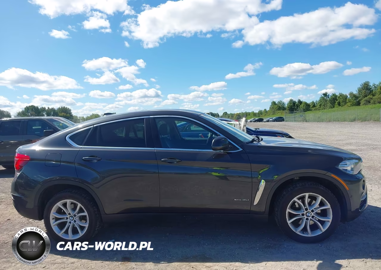 2016 BMW X6 xDrive35I VIN:5UXKU2C54G0N80894 - 13