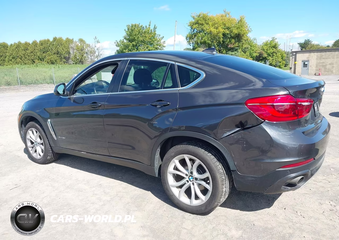 2016 BMW X6 xDrive35I VIN:5UXKU2C54G0N80894 - 6