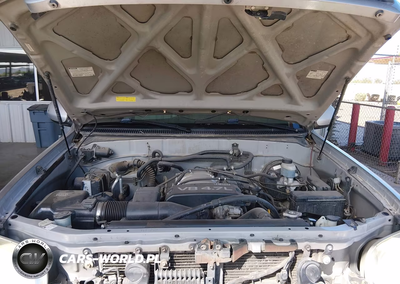 2002 Toyota Sequoia Limited V8 VIN:5TDZT38A82S111814 - 10