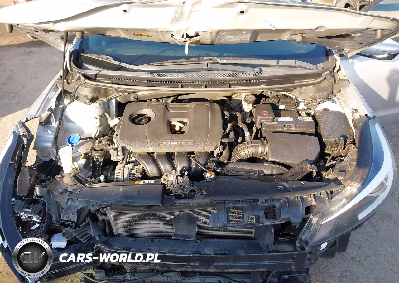 2017 Kia Forte Lx VIN:3KPFK4A7XHE108586 - 10