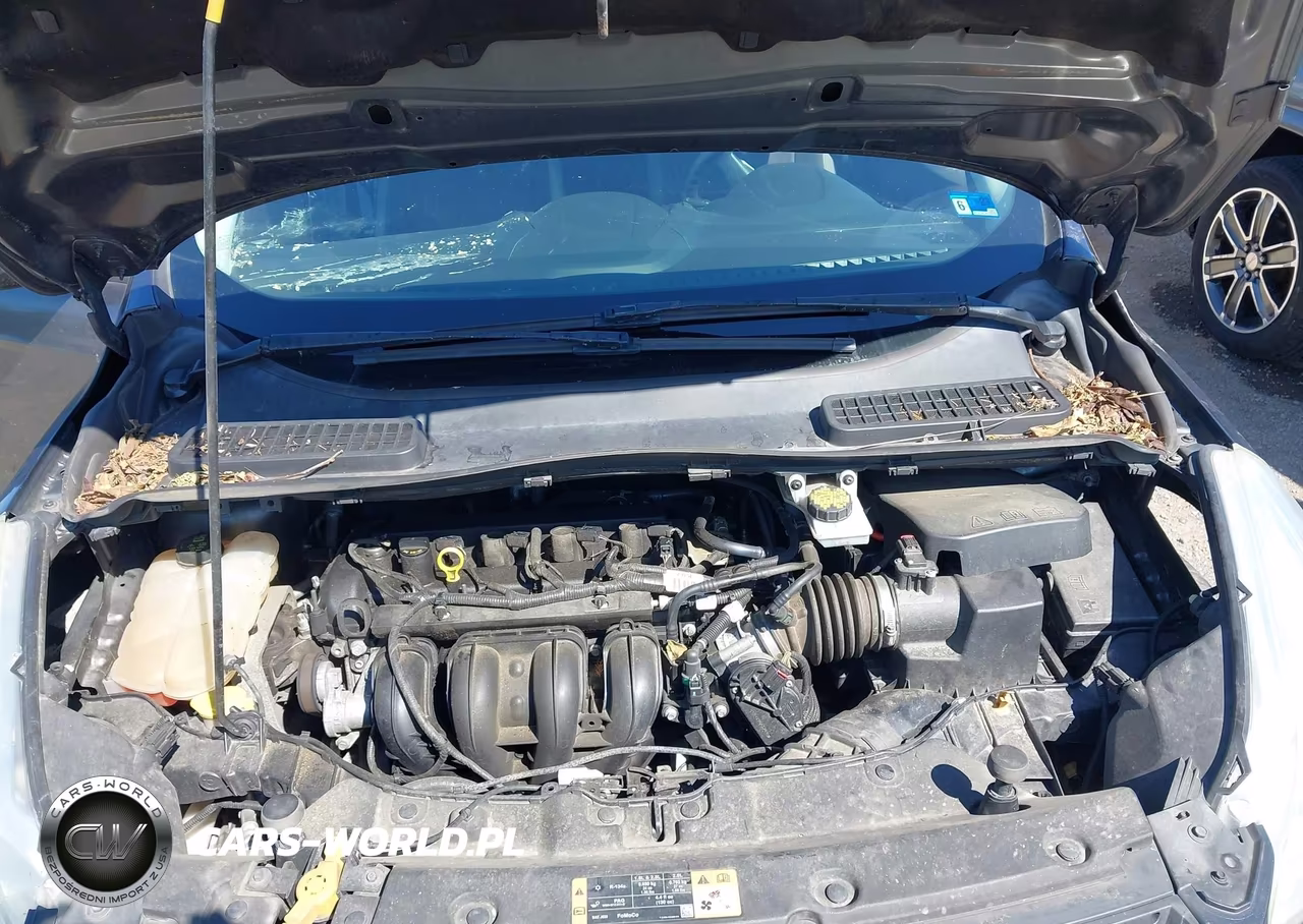 2016 Ford Escape S VIN:1FMCU0F74GUC20813 - 10