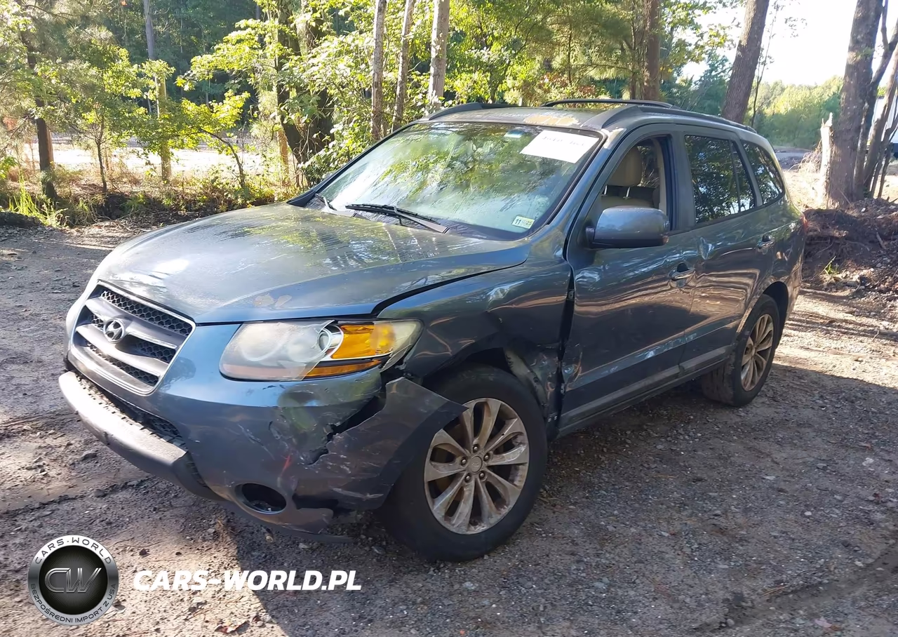2009 Hyundai Santa Fe Limited VIN:5NMSH13E19H265036 - 2