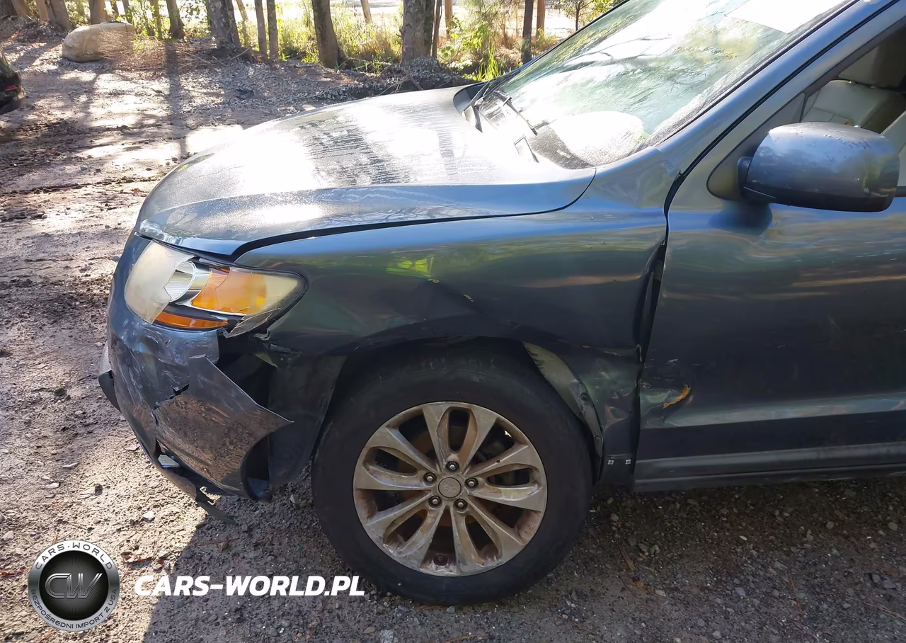 2009 Hyundai Santa Fe Limited VIN:5NMSH13E19H265036 - 6