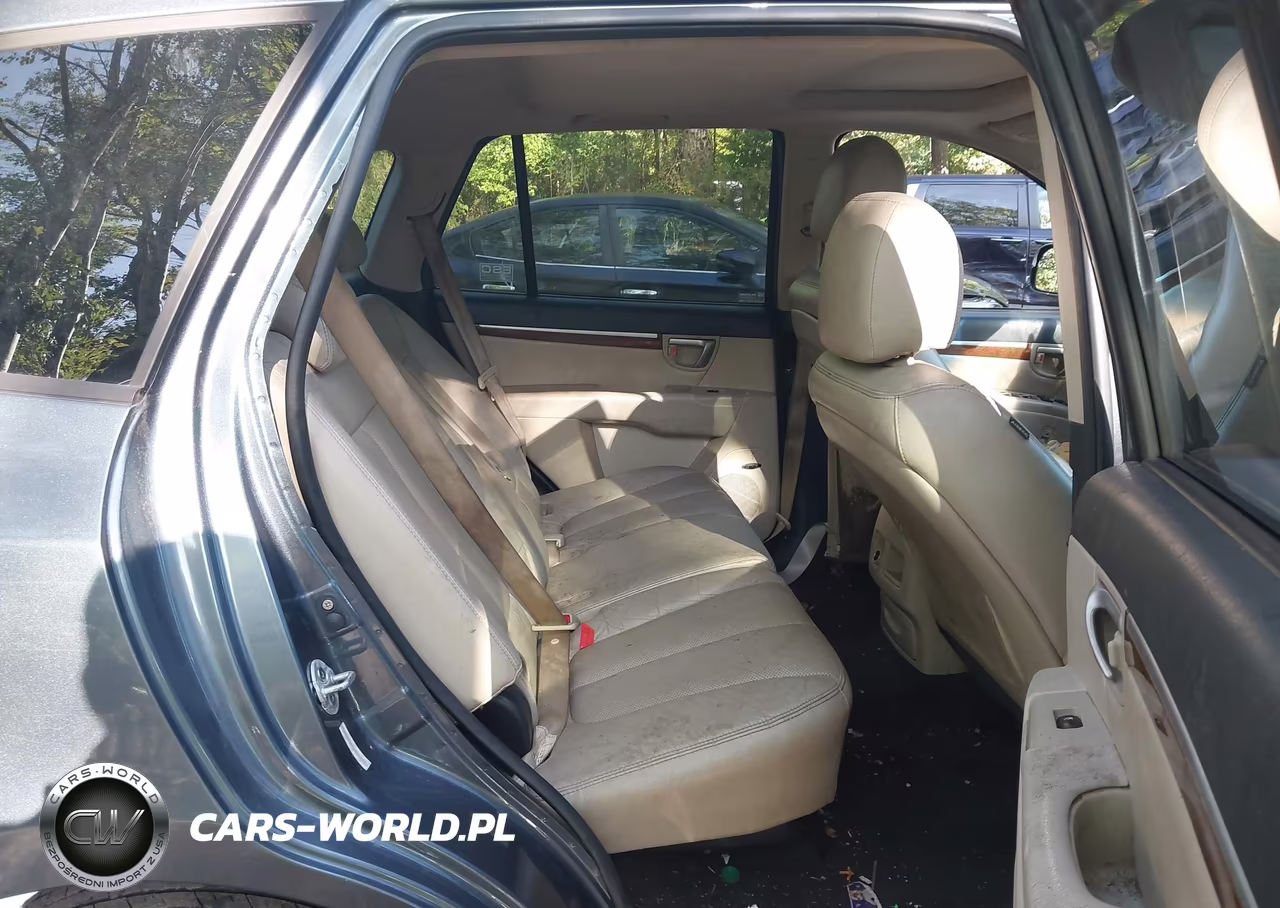 2009 Hyundai Santa Fe Limited VIN:5NMSH13E19H265036 - 8