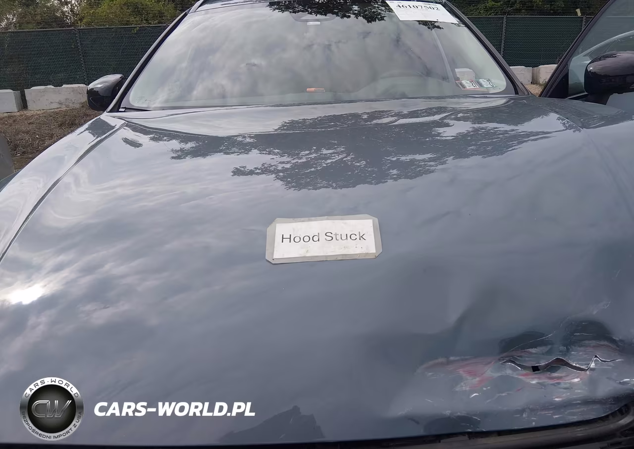2023 Volvo Xc60 Recharge Plug-In Hybrid T8 Plus Dark Theme VIN:YV4H60DW2P1391718 - 10