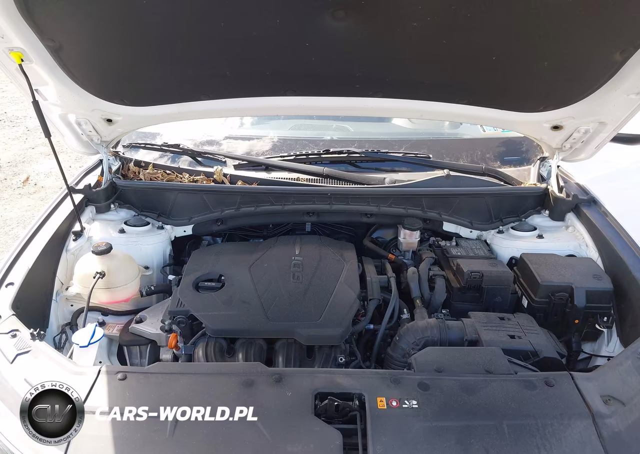2024 Hyundai Tucson Sel VIN:5NMJBCDE9RH299202 - 10
