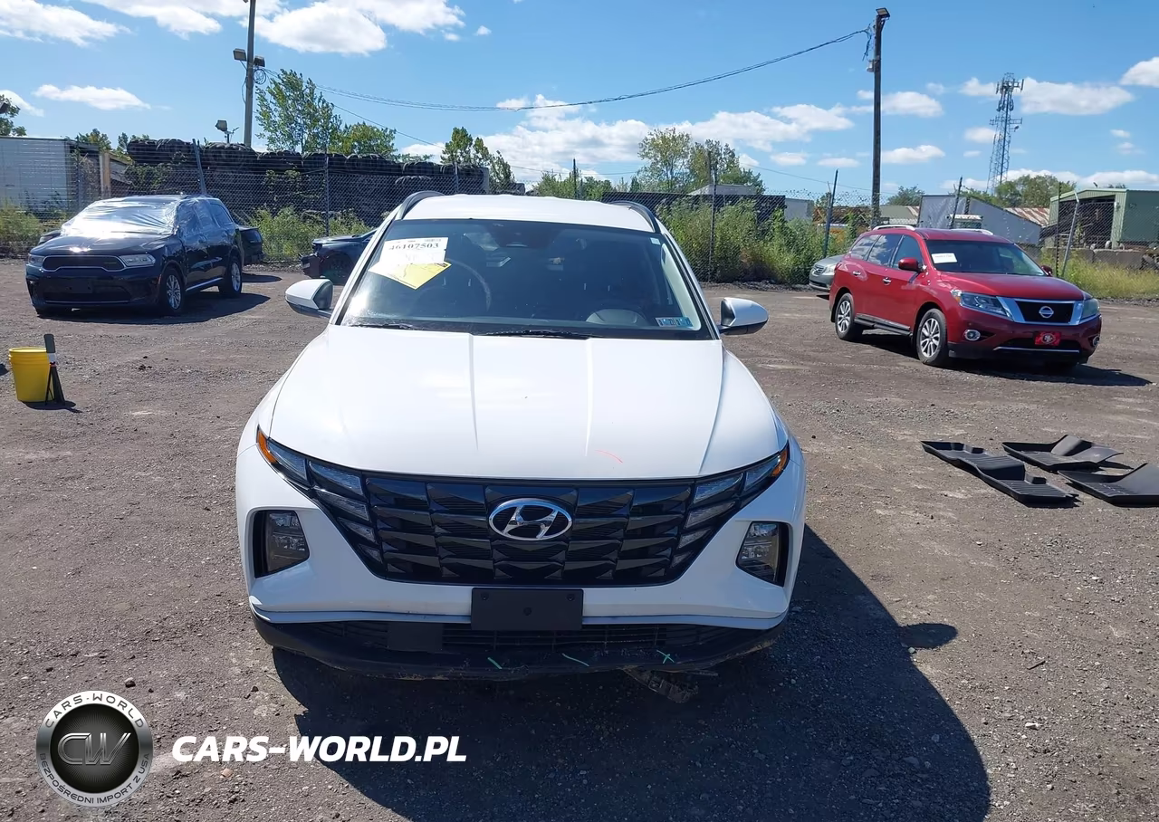2024 Hyundai Tucson Sel VIN:5NMJBCDE9RH299202 - 12