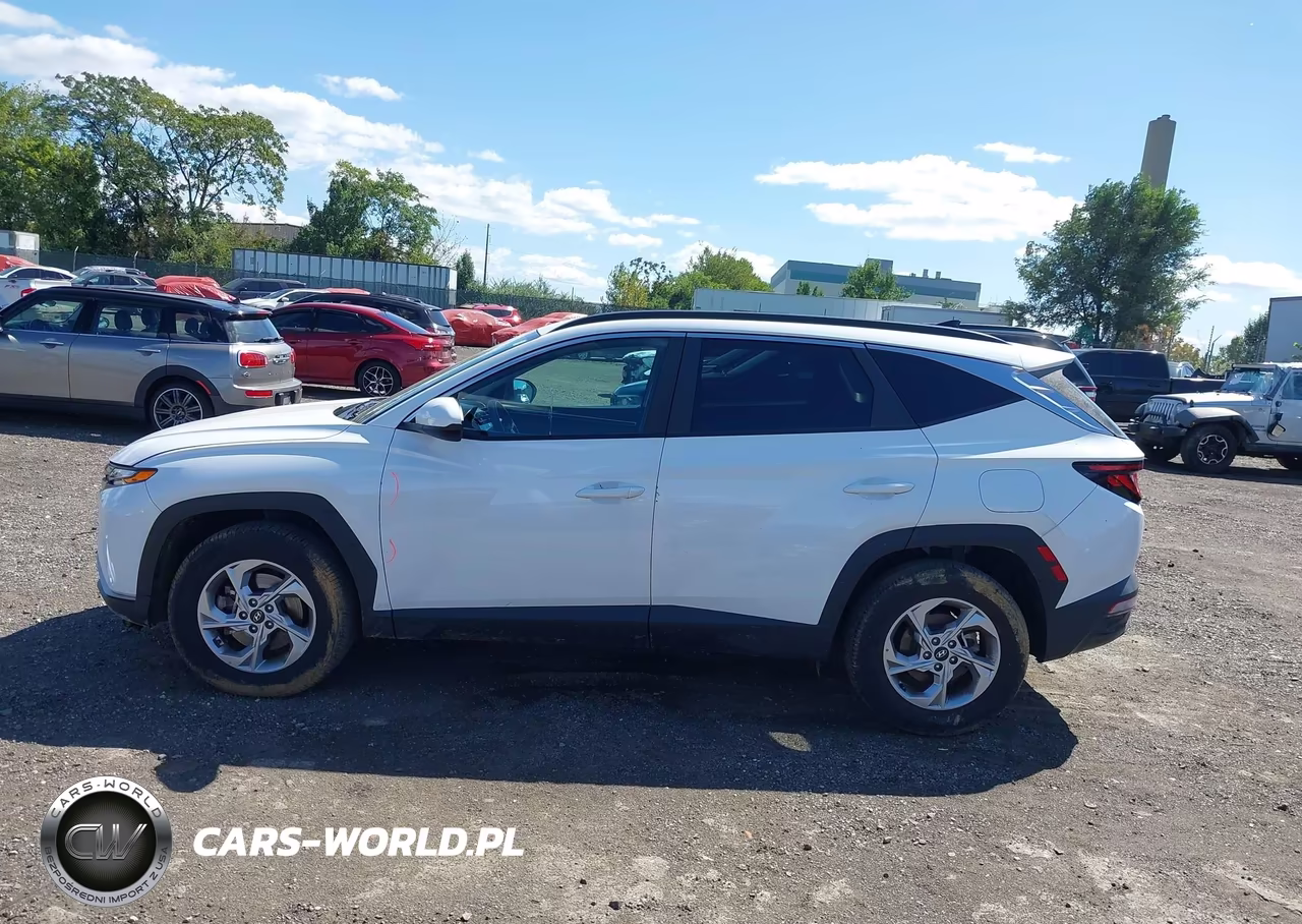 2024 Hyundai Tucson Sel VIN:5NMJBCDE9RH299202 - 14