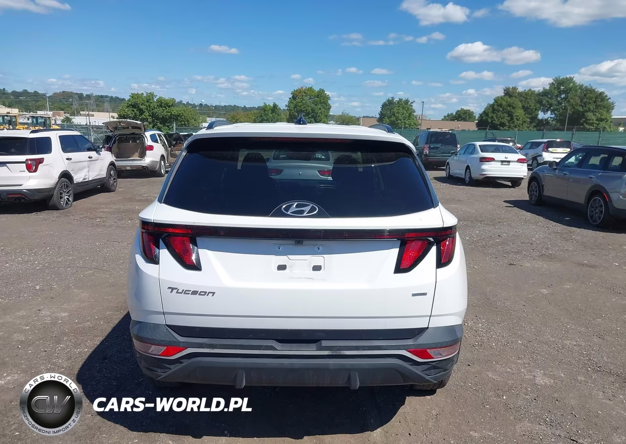 2024 Hyundai Tucson Sel VIN:5NMJBCDE9RH299202 - 16