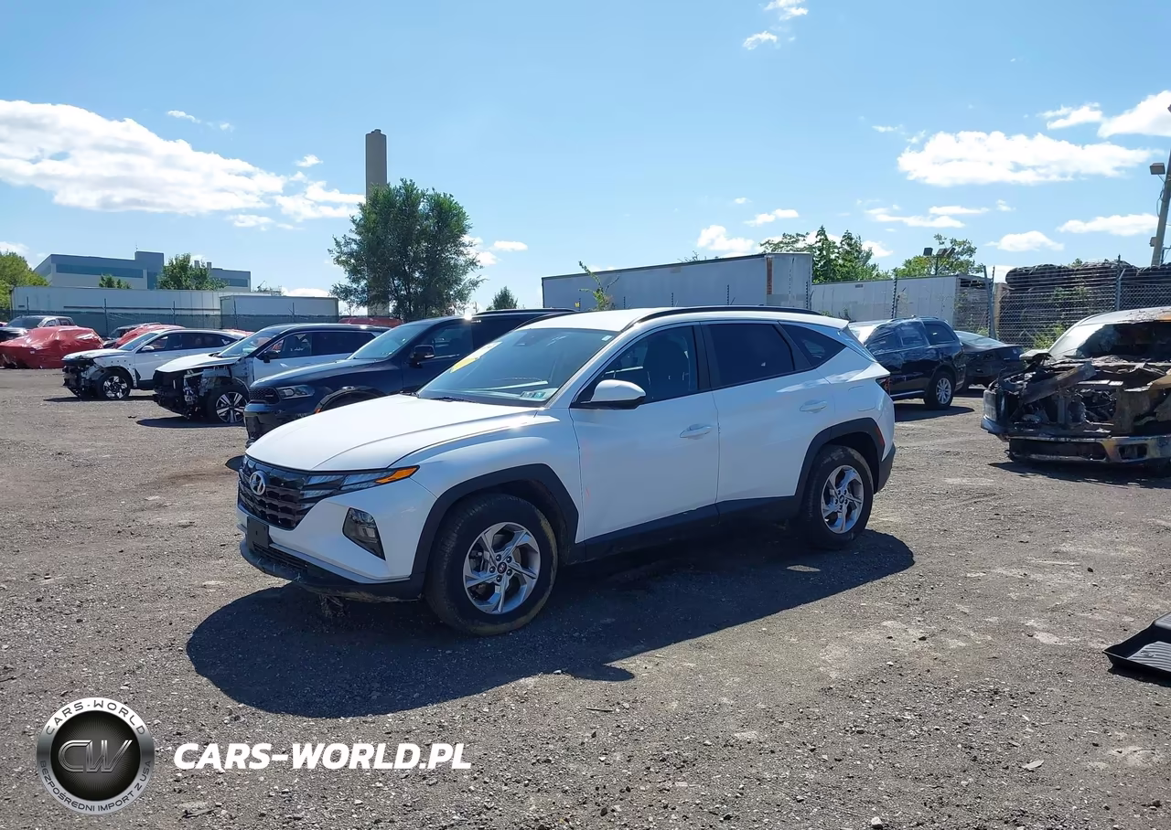 2024 Hyundai Tucson Sel VIN:5NMJBCDE9RH299202 - 2