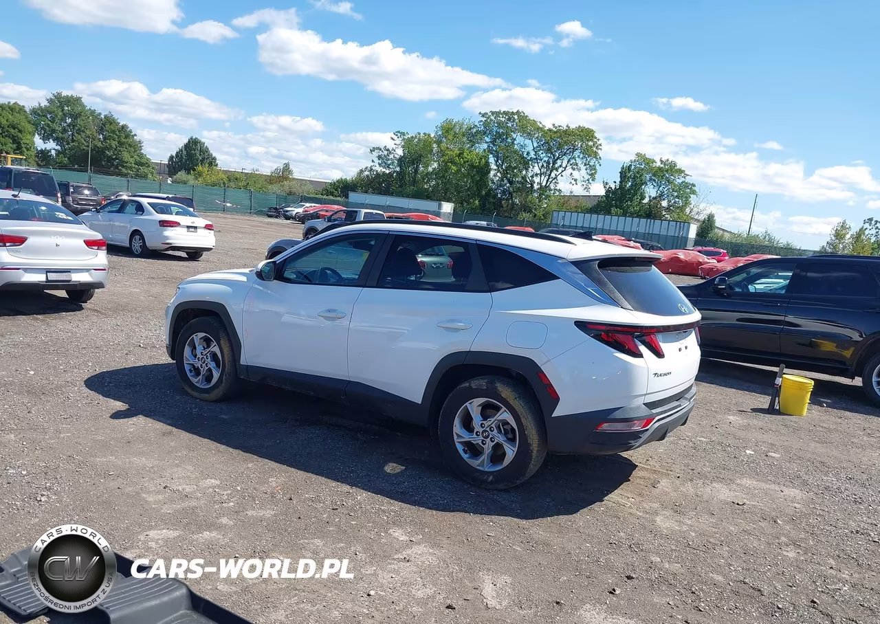 2024 Hyundai Tucson Sel VIN:5NMJBCDE9RH299202 - 3