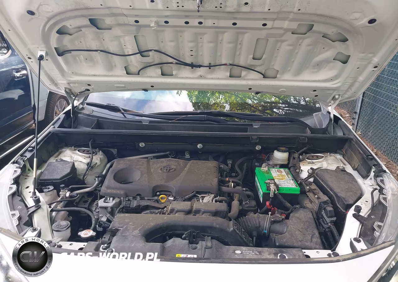 2019 Toyota Rav4 Xle Premium VIN:JTMA1RFV2KD017094 - 10