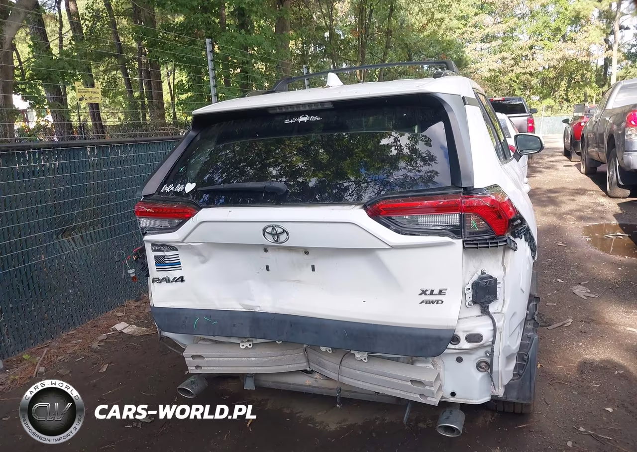 2019 Toyota Rav4 Xle Premium VIN:JTMA1RFV2KD017094 - 17