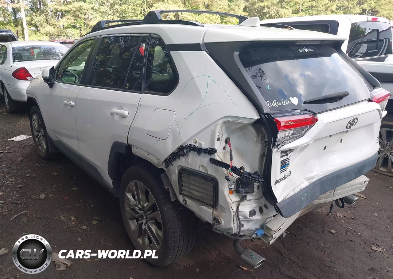 2019 Toyota Rav4 Xle Premium VIN:JTMA1RFV2KD017094 - 3