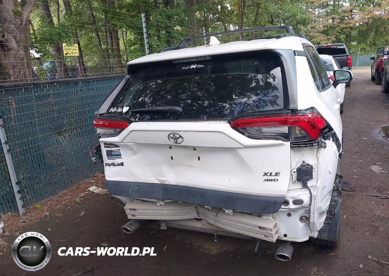 2019 Toyota Rav4 Xle Premium VIN:JTMA1RFV2KD017094 - 6