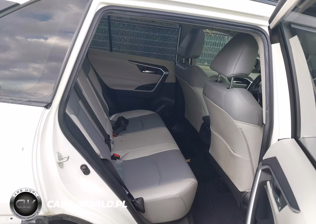 2019 Toyota Rav4 Xle Premium VIN:JTMA1RFV2KD017094 - 8