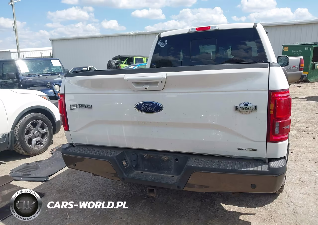 2016 Ford F-150 King Ranch VIN:1FTEW1EF8GFA63250 - 16