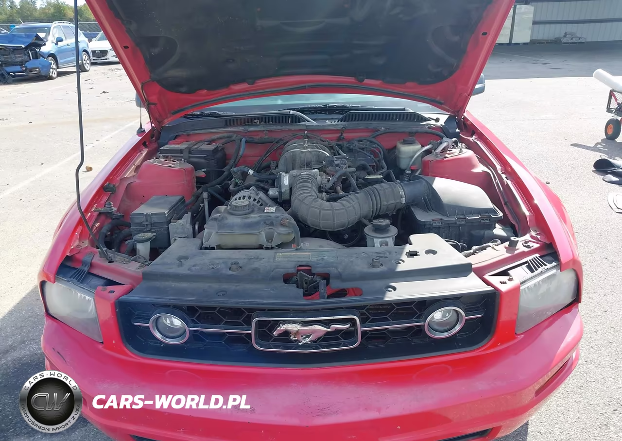 2008 Ford Mustang V6 Deluxe-V6 Premium VIN:1ZVHT80N785179122 - 10