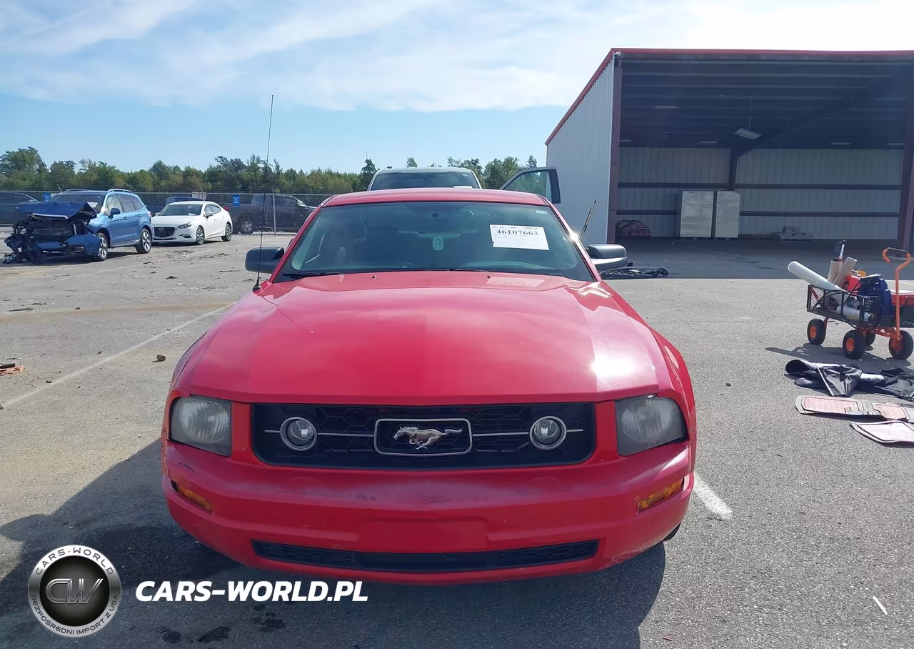 2008 Ford Mustang V6 Deluxe-V6 Premium VIN:1ZVHT80N785179122 - 12