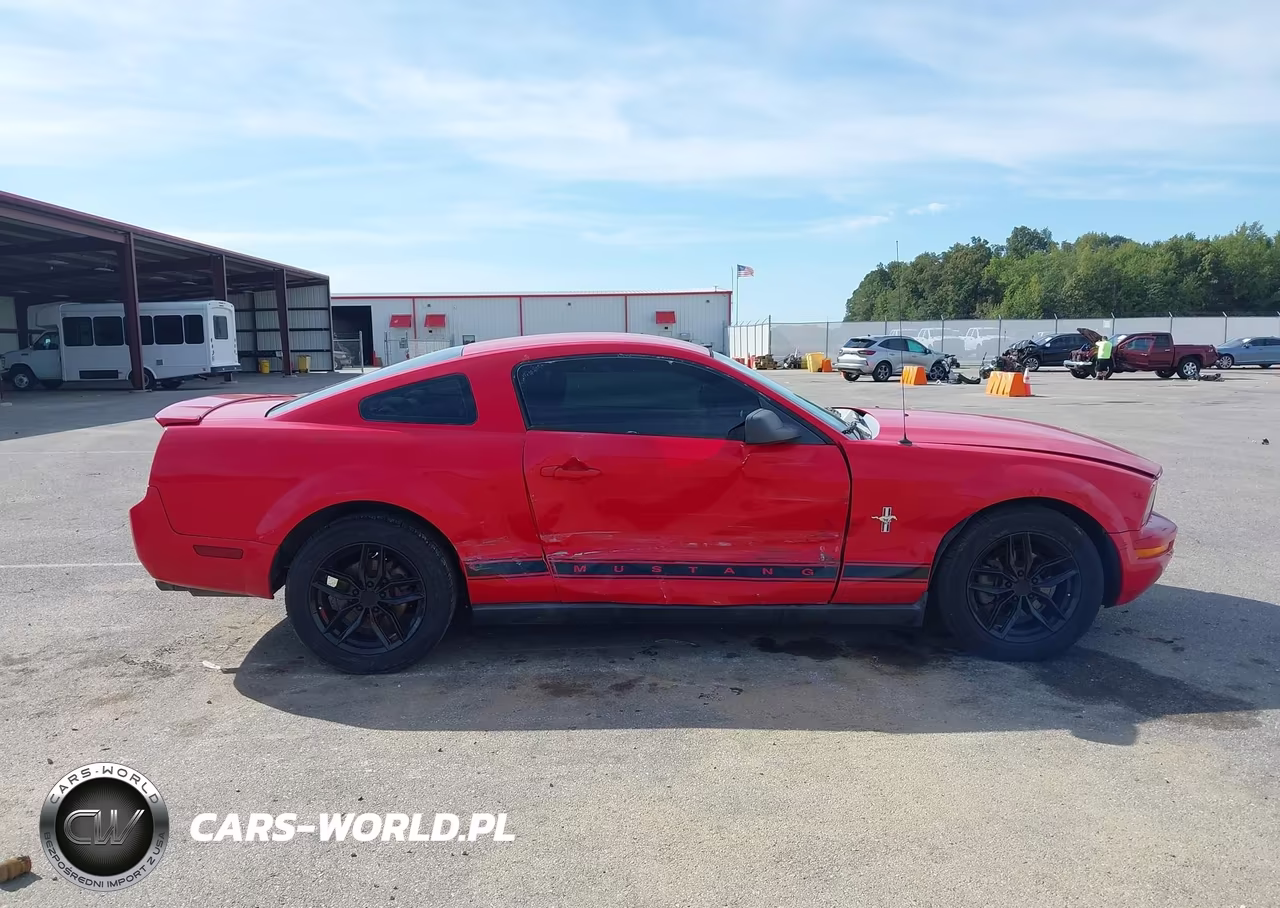 2008 Ford Mustang V6 Deluxe-V6 Premium VIN:1ZVHT80N785179122 - 13