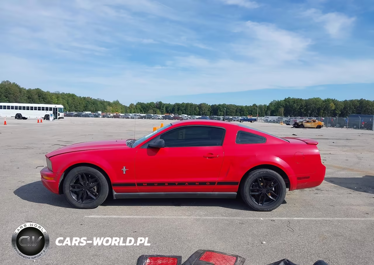 2008 Ford Mustang V6 Deluxe-V6 Premium VIN:1ZVHT80N785179122 - 14