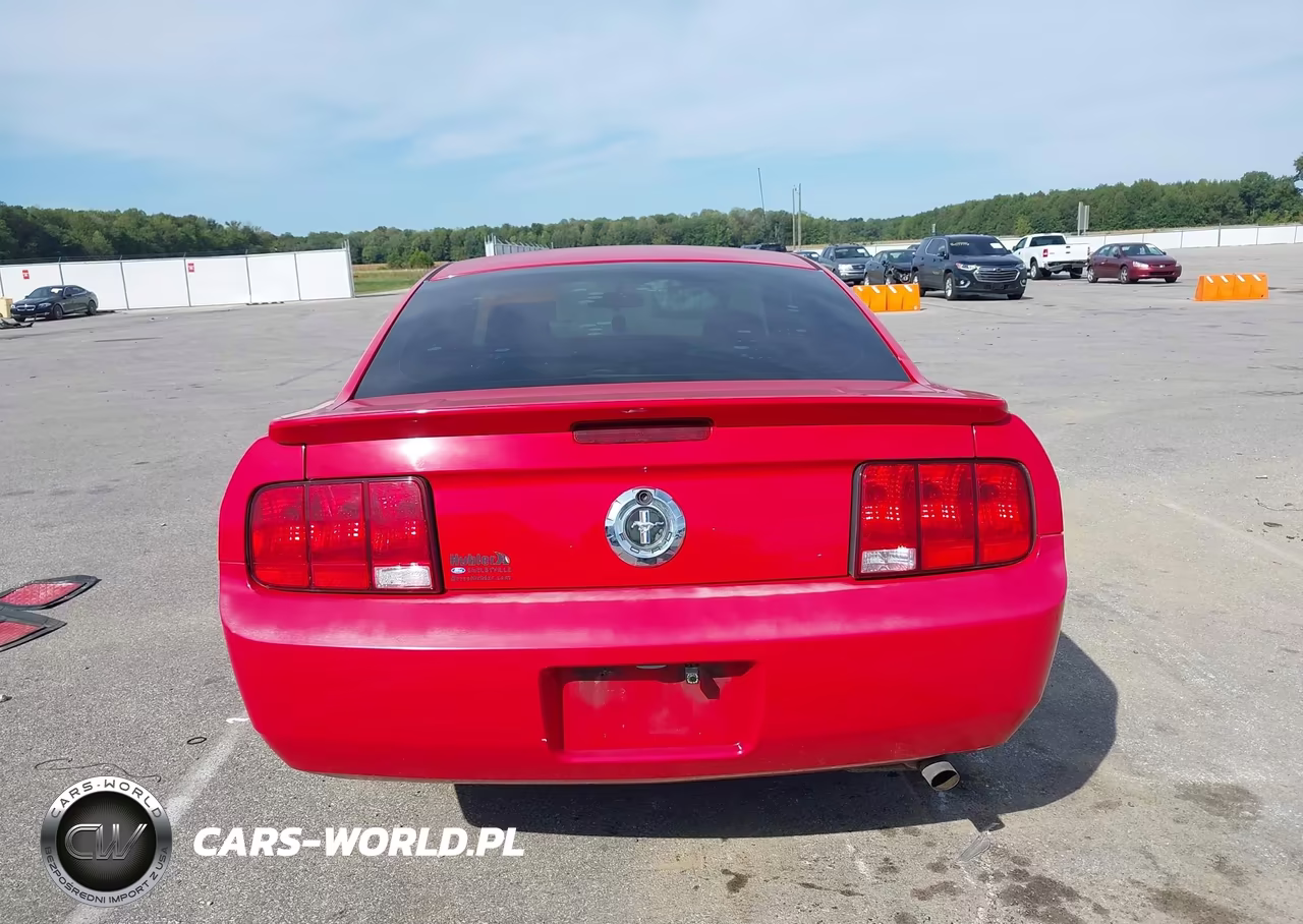 2008 Ford Mustang V6 Deluxe-V6 Premium VIN:1ZVHT80N785179122 - 16