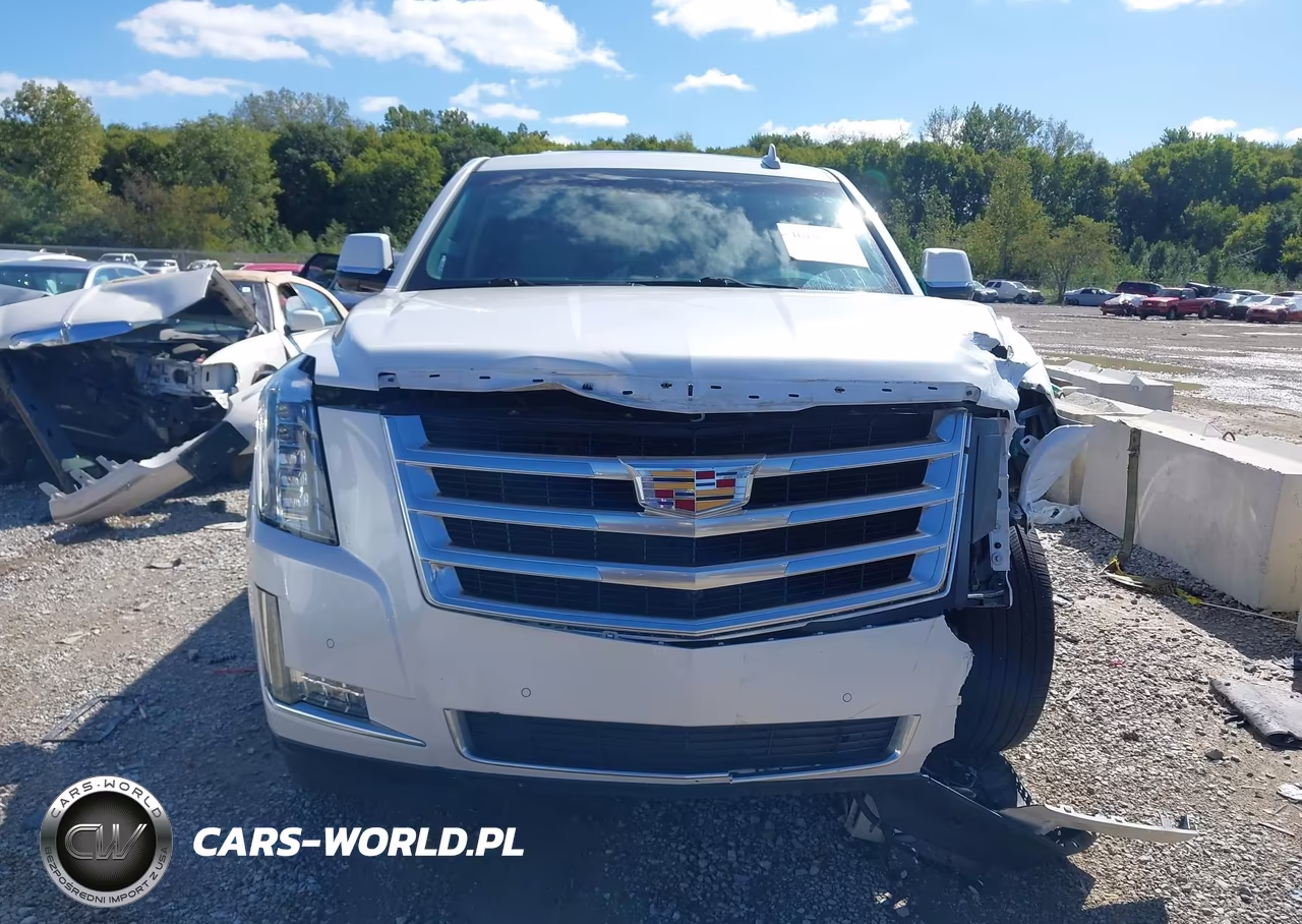 2016 Cadillac Escalade Luxury Collection VIN:1GYS4BKJ5GR340548 - 12
