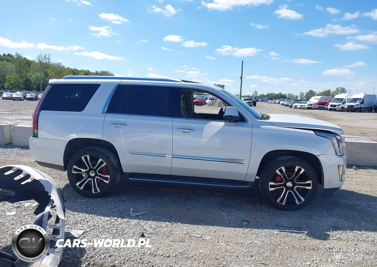 2016 Cadillac Escalade Luxury Collection VIN:1GYS4BKJ5GR340548 - 13