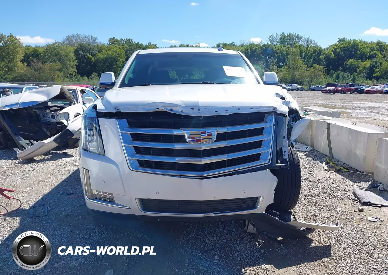 2016 Cadillac Escalade Luxury Collection VIN:1GYS4BKJ5GR340548 - 6