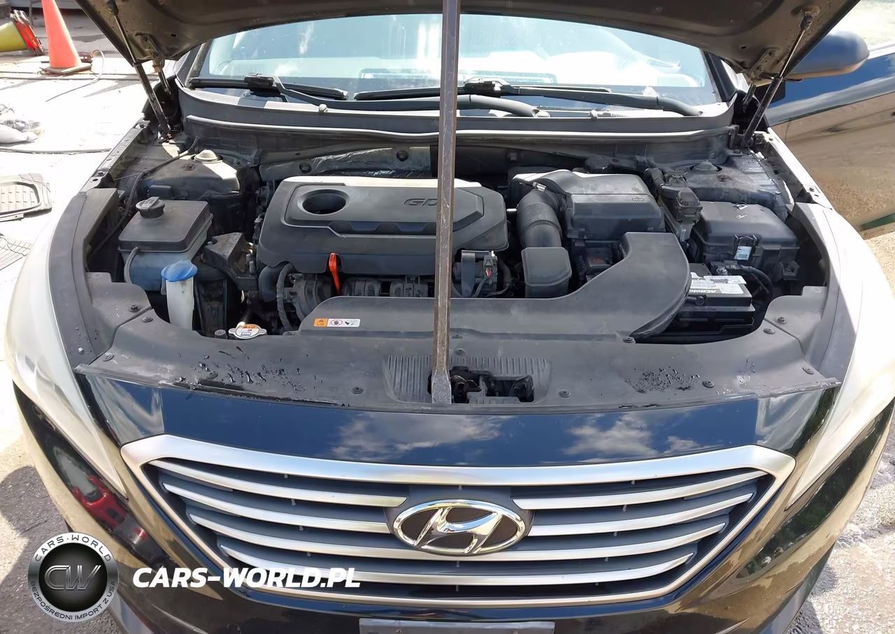 2015 Hyundai Sonata Se VIN:5NPE24AF2FH059167 - 10