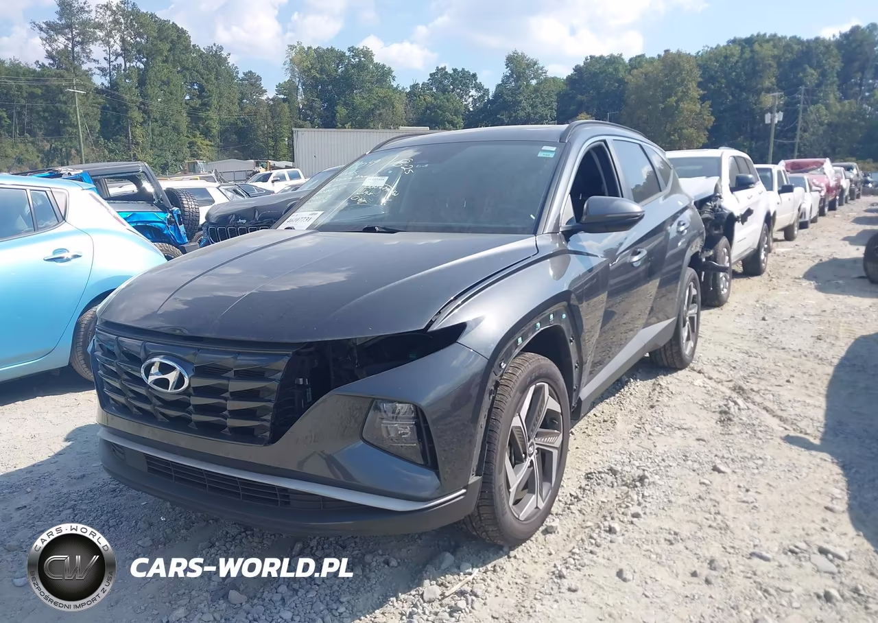 2023 Hyundai Tucson Sel VIN:5NMJFCAE0PH175177 - 2