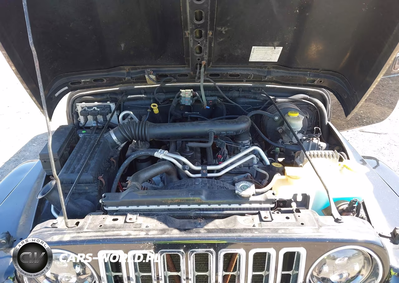 2004 Jeep Wrangler Sahara VIN:1J4FA59SX4P794599 - 10