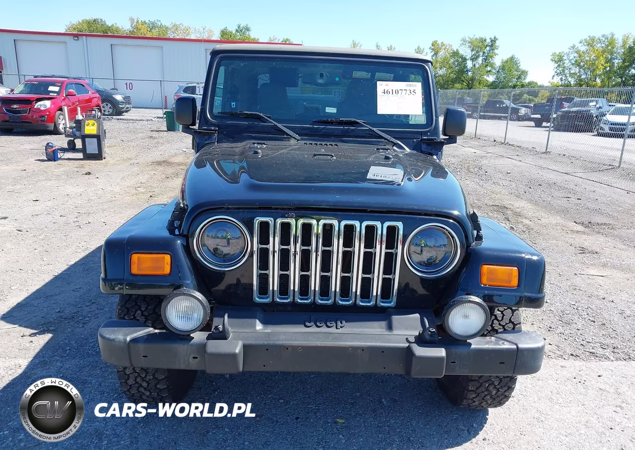 2004 Jeep Wrangler Sahara VIN:1J4FA59SX4P794599 - 12
