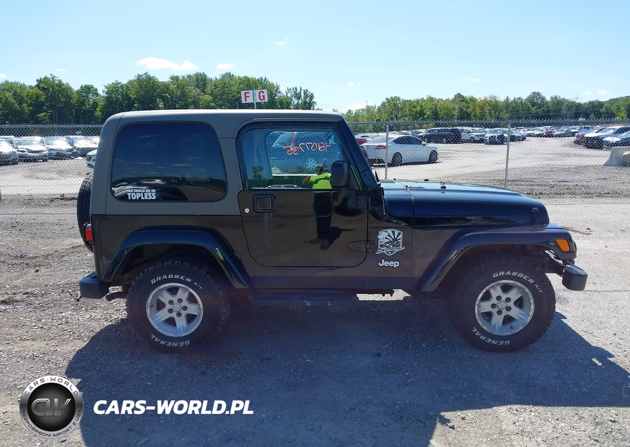 2004 Jeep Wrangler Sahara VIN:1J4FA59SX4P794599 - 13