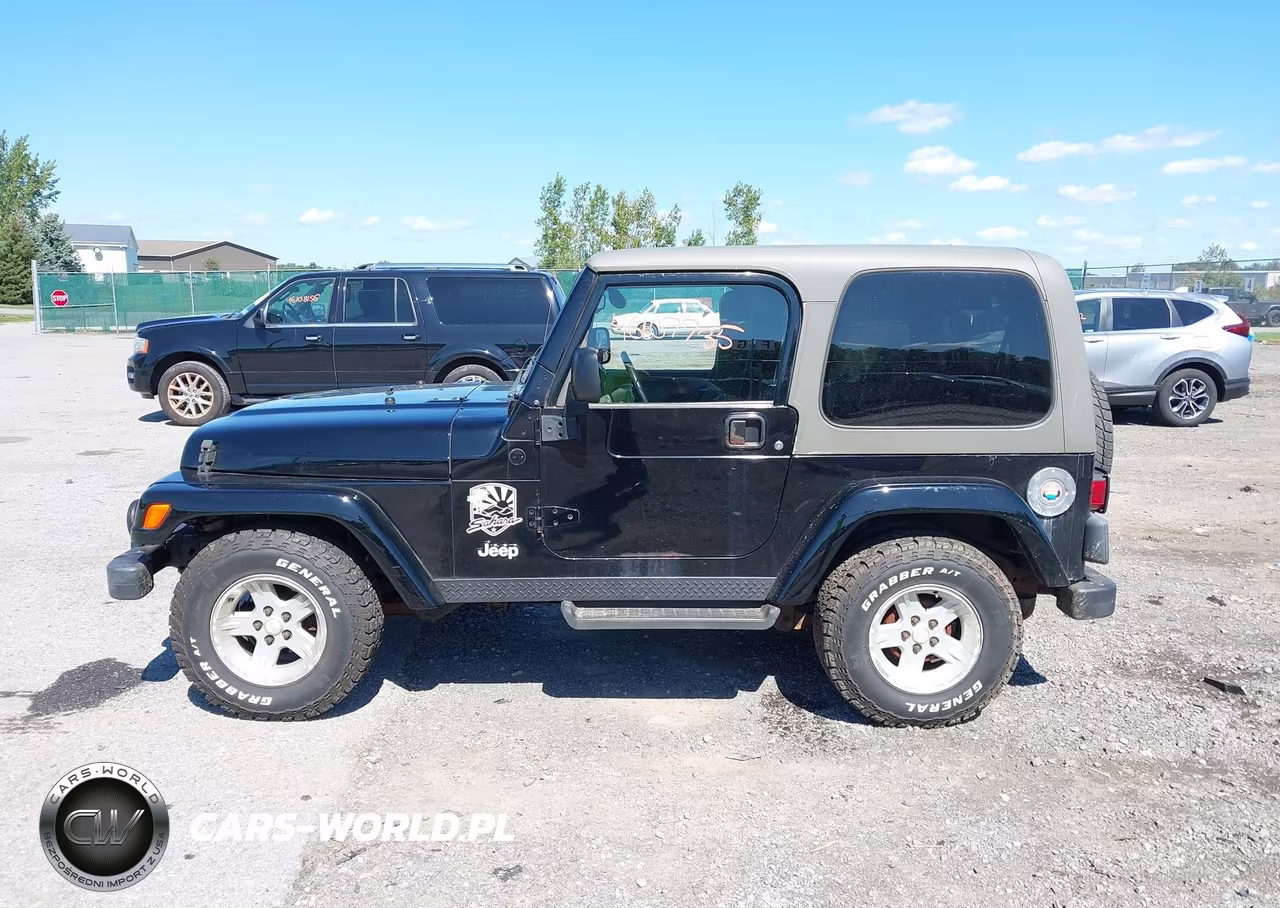 2004 Jeep Wrangler Sahara VIN:1J4FA59SX4P794599 - 14