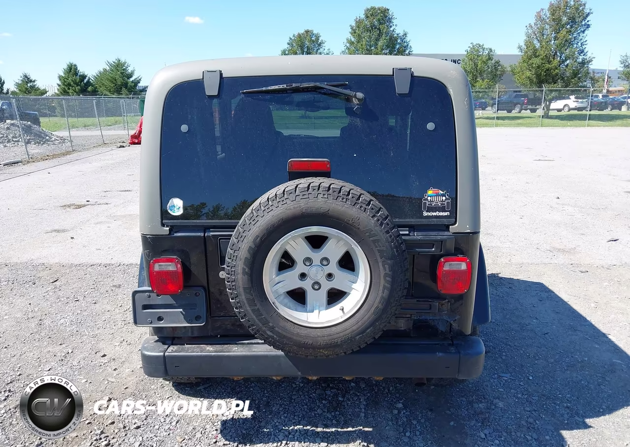 2004 Jeep Wrangler Sahara VIN:1J4FA59SX4P794599 - 16