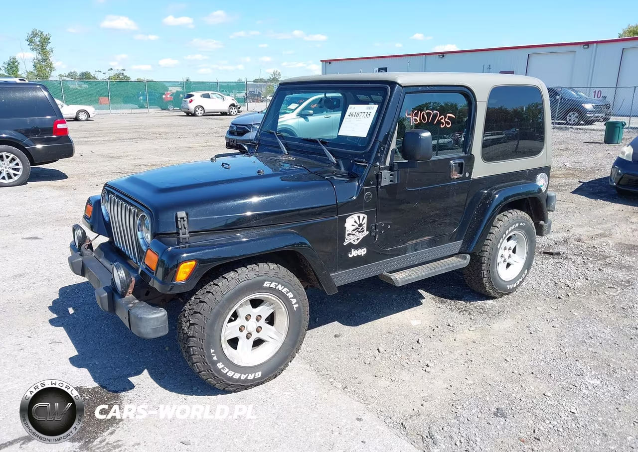 2004 Jeep Wrangler Sahara VIN:1J4FA59SX4P794599 - 2