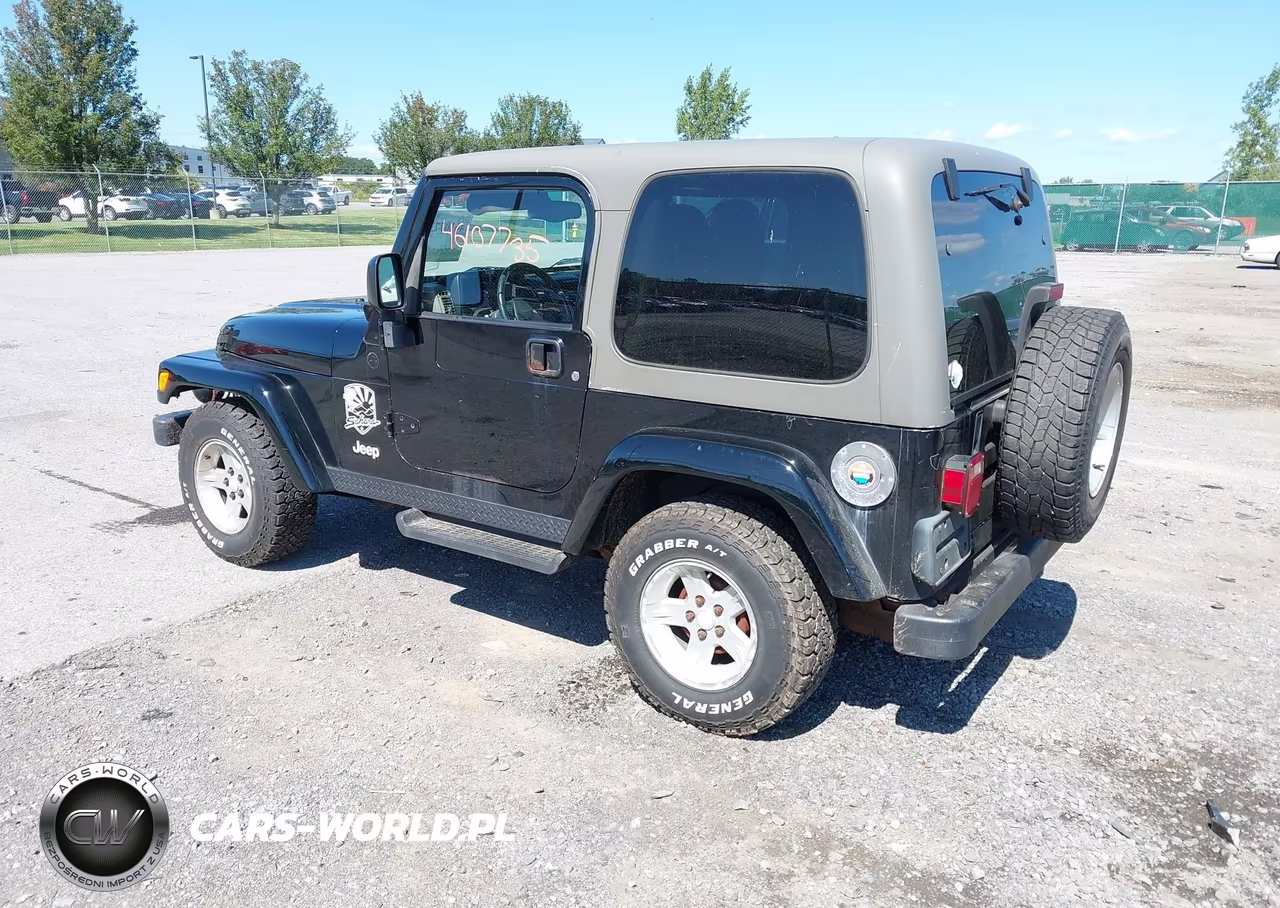 2004 Jeep Wrangler Sahara VIN:1J4FA59SX4P794599 - 3