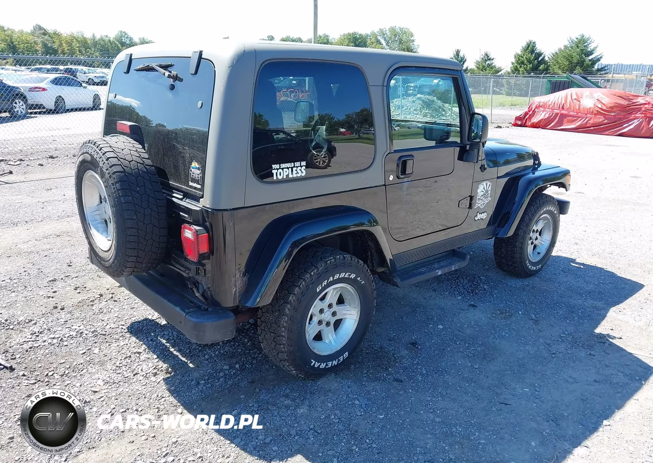 2004 Jeep Wrangler Sahara VIN:1J4FA59SX4P794599 - 4