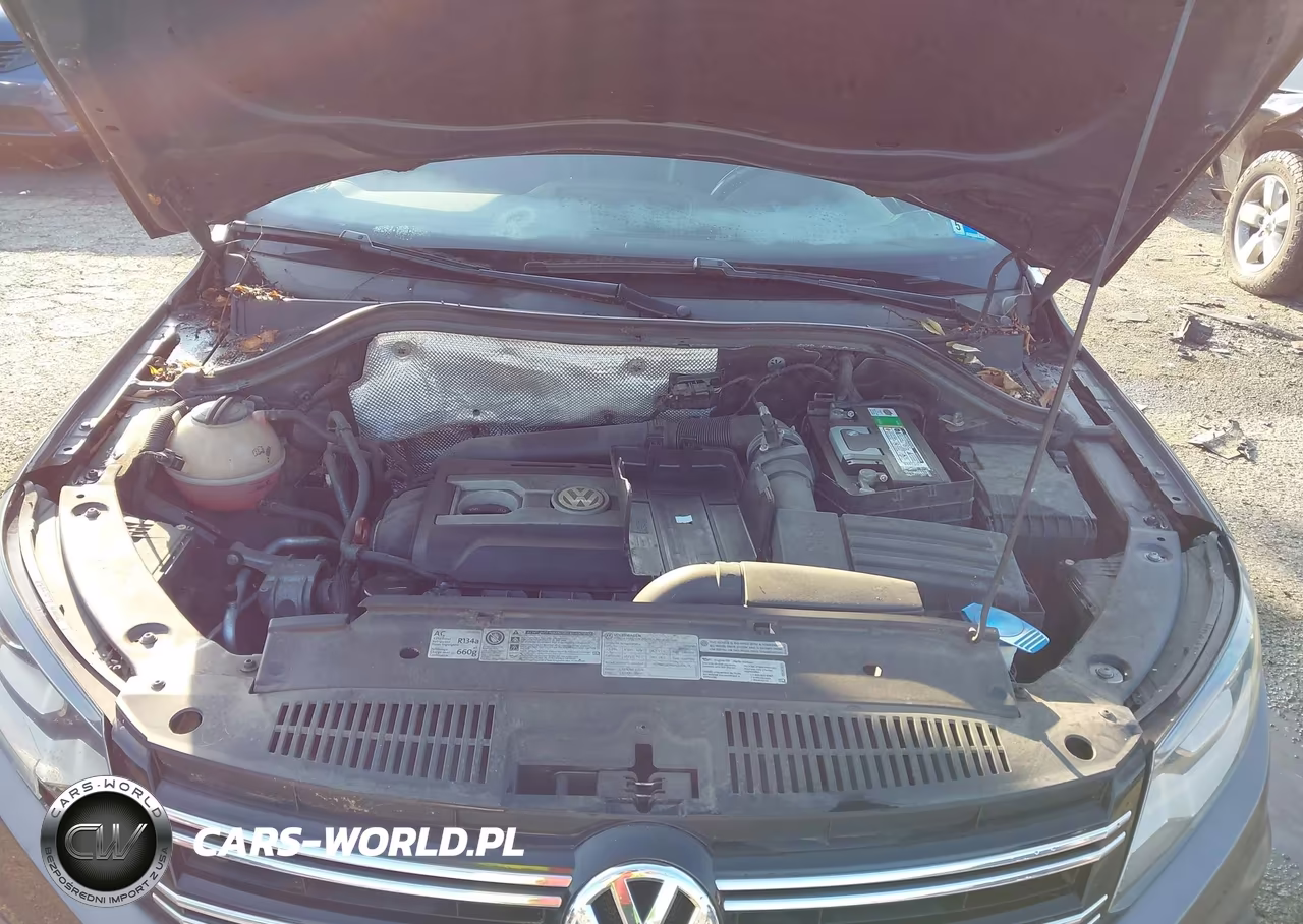 2012 Volkswagen Tiguan Sel VIN:WVGBV7AX3CW004894 - 10