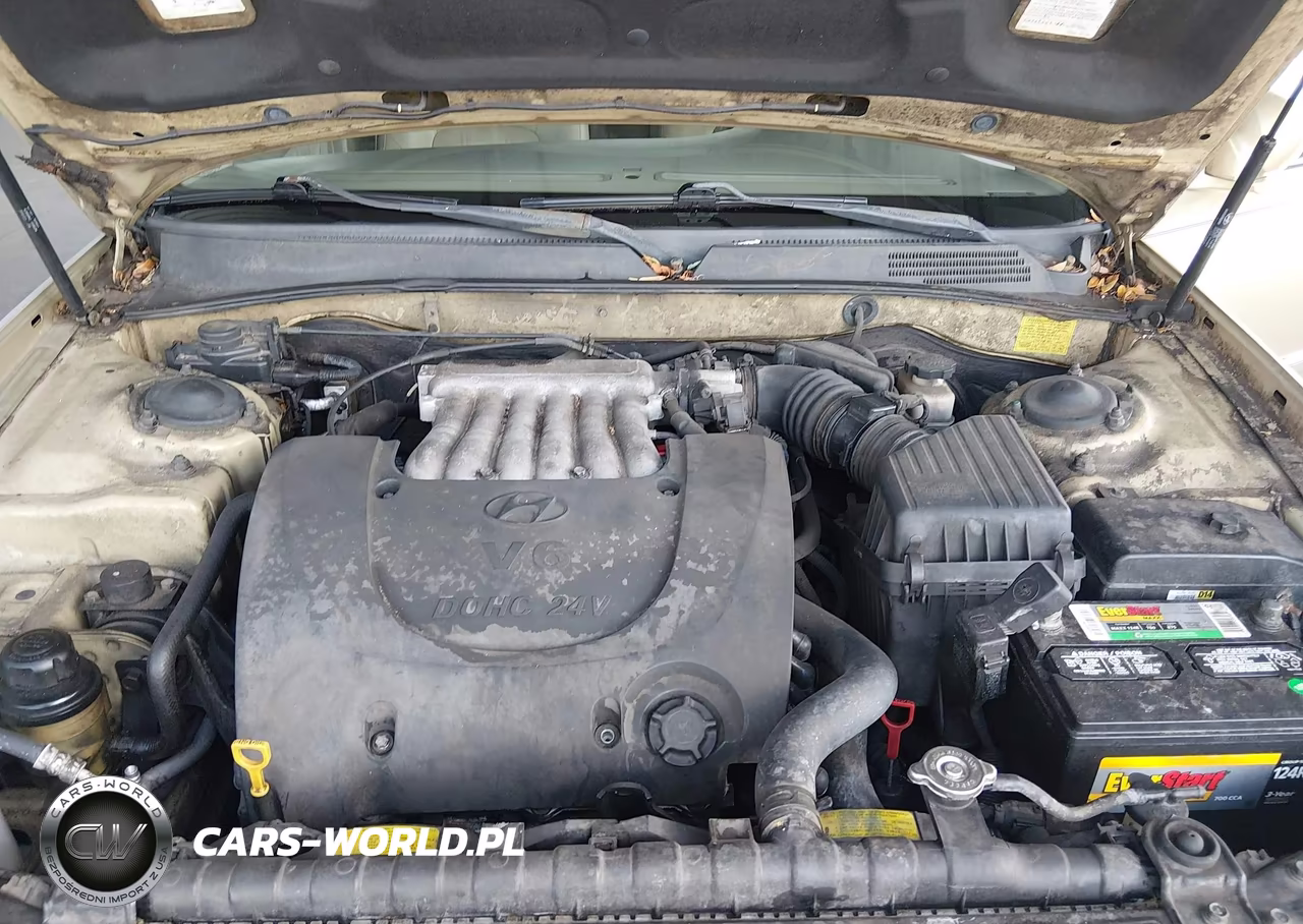 2004 Hyundai Sonata Gls-Lx VIN:KMHWF35H14A015725 - 10