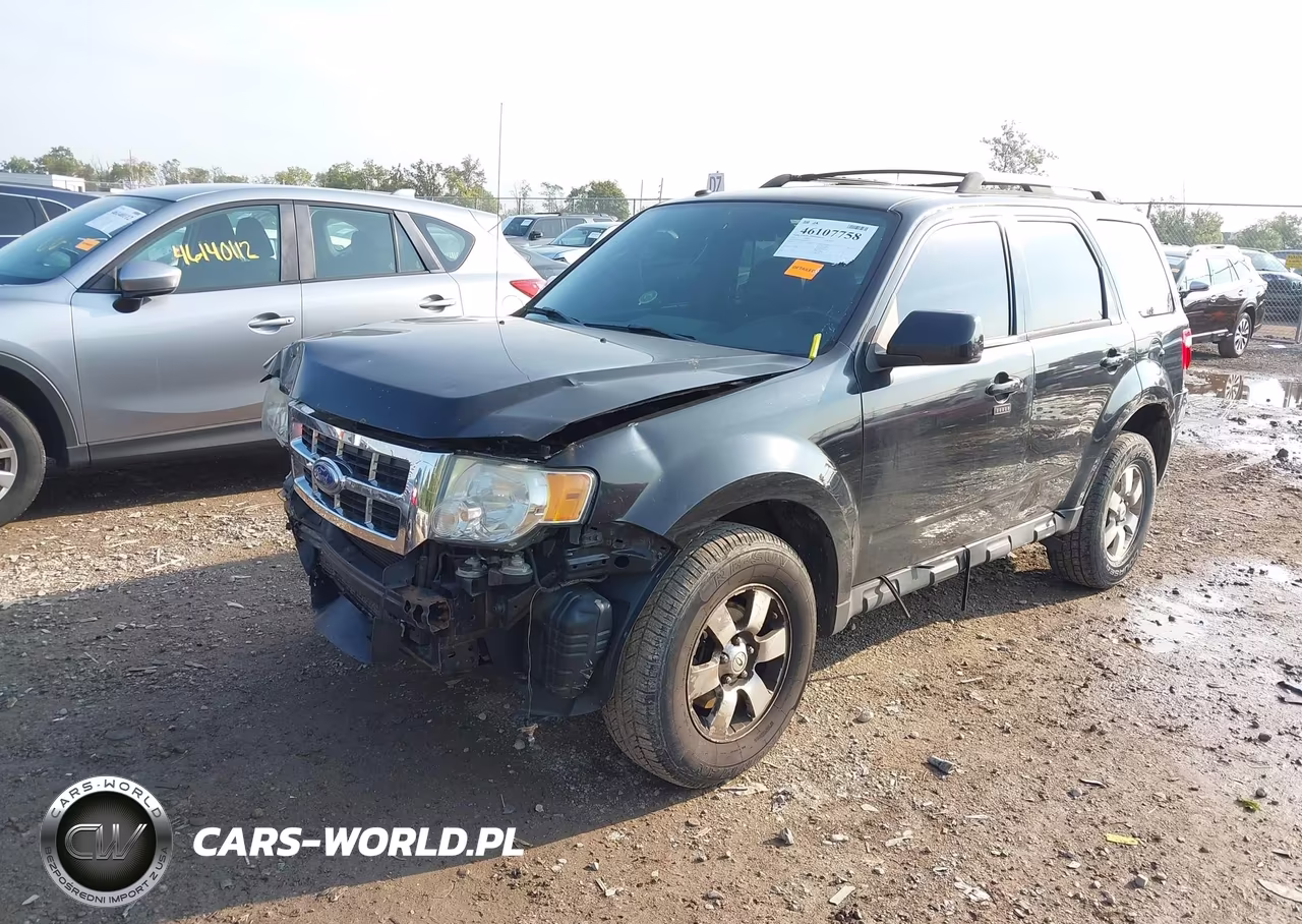 2011 Ford Escape Limited VIN:1FMCU0E73BKC24955 - 2