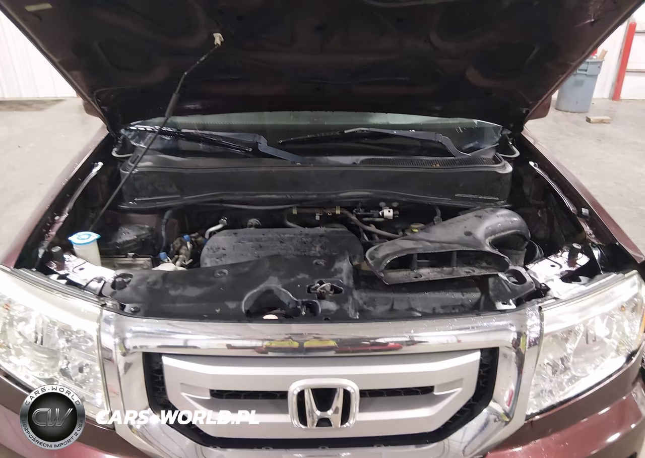 2009 Honda Pilot Ex-L VIN:5FNYF48679B043072 - 10